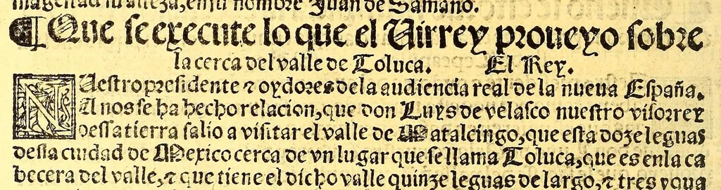 An illustration from Prouisio[n]es cedulas instruciones de su Magestad: : ordena[n]ças d[e] difu[n]tos y audie[n]cia, p[ar]a la buena expedicio[n] de los negocios, y administracio[n] d[e] justicia: y gouernacio[n] d[e]sta Nueua España: y p[ar]a el bue[n] tratamie[n]to y [con]seruacio[n] d[e] los yndios, dende el año 1525. hasta este presente de. 63, 1563, leaf 314