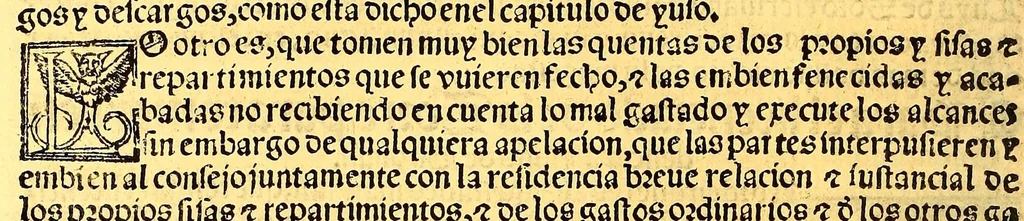 An illustration from Prouisio[n]es cedulas instruciones de su Magestad: : ordena[n]ças d[e] difu[n]tos y audie[n]cia, p[ar]a la buena expedicio[n] de los negocios, y administracio[n] d[e] justicia: y gouernacio[n] d[e]sta Nueua España: y p[ar]a el bue[n] tratamie[n]to y [con]seruacio[n] d[e] los yndios, dende el año 1525. hasta este presente de. 63, 1563, leaf 324