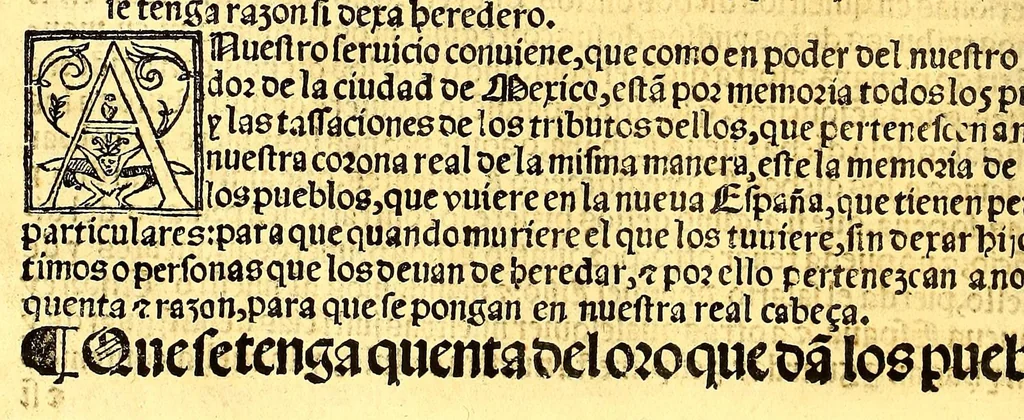 An illustration from Prouisio[n]es cedulas instruciones de su Magestad: : ordena[n]ças d[e] difu[n]tos y audie[n]cia, p[ar]a la buena expedicio[n] de los negocios, y administracio[n] d[e] justicia: y gouernacio[n] d[e]sta Nueua España: y p[ar]a el bue[n] tratamie[n]to y [con]seruacio[n] d[e] los yndios, dende el año 1525. hasta este presente de. 63, 1563, leaf 360