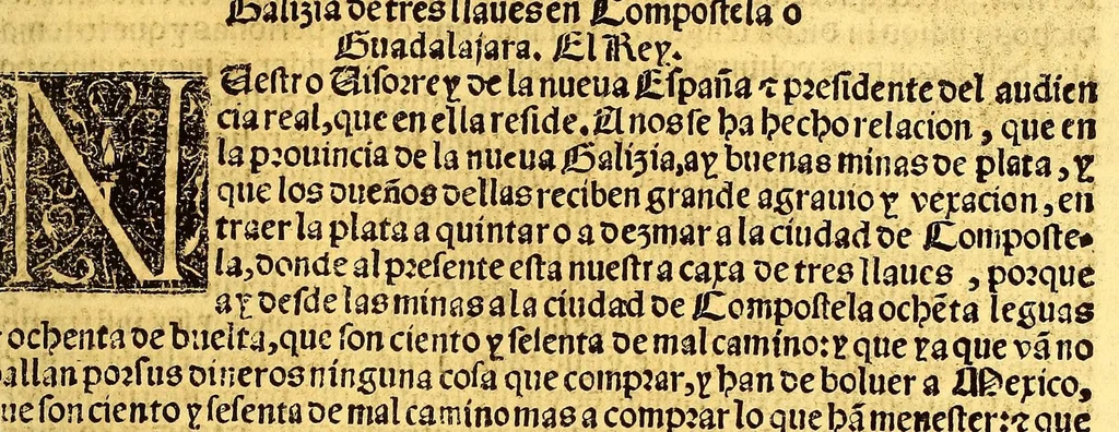 An illustration from Prouisio[n]es cedulas instruciones de su Magestad: : ordena[n]ças d[e] difu[n]tos y audie[n]cia, p[ar]a la buena expedicio[n] de los negocios, y administracio[n] d[e] justicia: y gouernacio[n] d[e]sta Nueua España: y p[ar]a el bue[n] tratamie[n]to y [con]seruacio[n] d[e] los yndios, dende el año 1525. hasta este presente de. 63, 1563, leaf 365