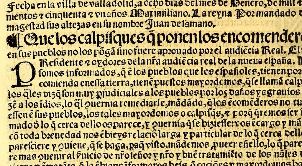 An illustration from Prouisio[n]es cedulas instruciones de su Magestad: : ordena[n]ças d[e] difu[n]tos y audie[n]cia, p[ar]a la buena expedicio[n] de los negocios, y administracio[n] d[e] justicia: y gouernacio[n] d[e]sta Nueua España: y p[ar]a el bue[n] tratamie[n]to y [con]seruacio[n] d[e] los yndios, dende el año 1525. hasta este presente de. 63, 1563, leaf 370