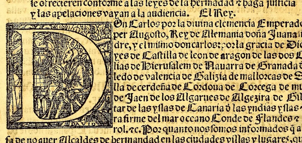 An illustration from Prouisio[n]es cedulas instruciones de su Magestad: : ordena[n]ças d[e] difu[n]tos y audie[n]cia, p[ar]a la buena expedicio[n] de los negocios, y administracio[n] d[e] justicia: y gouernacio[n] d[e]sta Nueua España: y p[ar]a el bue[n] tratamie[n]to y [con]seruacio[n] d[e] los yndios, dende el año 1525. hasta este presente de. 63, 1563, leaf 390
