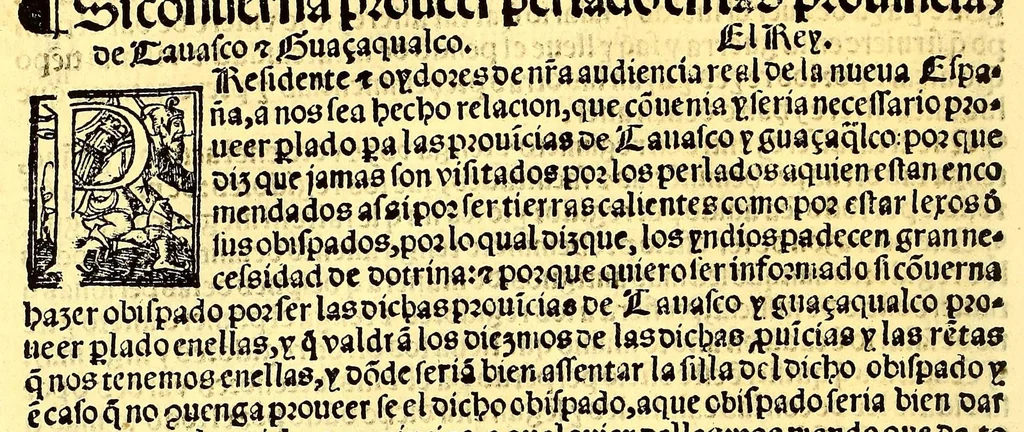 An illustration from Prouisio[n]es cedulas instruciones de su Magestad: : ordena[n]ças d[e] difu[n]tos y audie[n]cia, p[ar]a la buena expedicio[n] de los negocios, y administracio[n] d[e] justicia: y gouernacio[n] d[e]sta Nueua España: y p[ar]a el bue[n] tratamie[n]to y [con]seruacio[n] d[e] los yndios, dende el año 1525. hasta este presente de. 63, 1563, leaf 422
