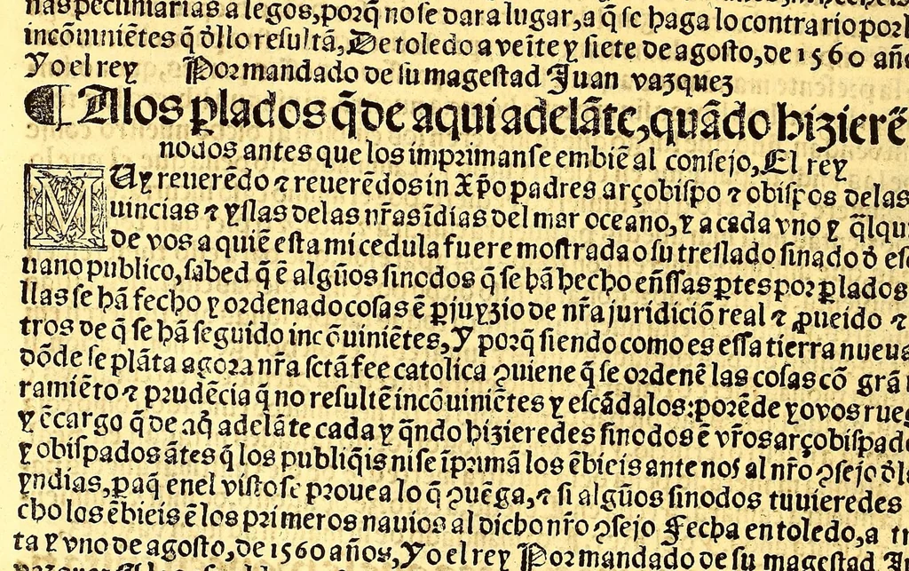 An illustration from Prouisio[n]es cedulas instruciones de su Magestad: : ordena[n]ças d[e] difu[n]tos y audie[n]cia, p[ar]a la buena expedicio[n] de los negocios, y administracio[n] d[e] justicia: y gouernacio[n] d[e]sta Nueua España: y p[ar]a el bue[n] tratamie[n]to y [con]seruacio[n] d[e] los yndios, dende el año 1525. hasta este presente de. 63, 1563, leaf 428