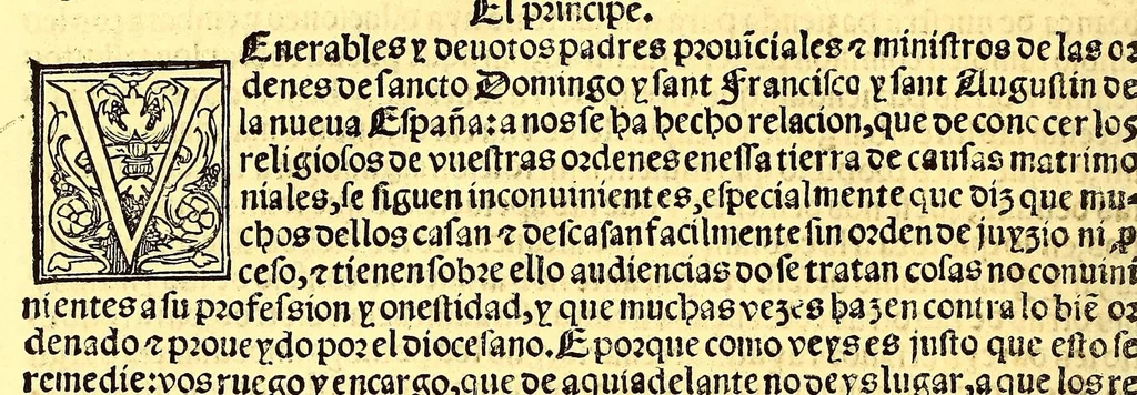 An illustration from Prouisio[n]es cedulas instruciones de su Magestad: : ordena[n]ças d[e] difu[n]tos y audie[n]cia, p[ar]a la buena expedicio[n] de los negocios, y administracio[n] d[e] justicia: y gouernacio[n] d[e]sta Nueua España: y p[ar]a el bue[n] tratamie[n]to y [con]seruacio[n] d[e] los yndios, dende el año 1525. hasta este presente de. 63, 1563, leaf 432