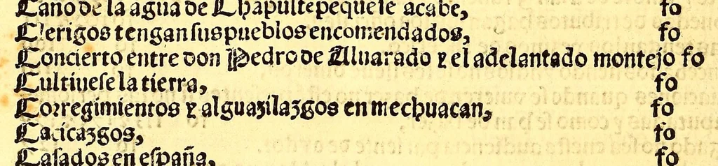 An illustration from Prouisio[n]es cedulas instruciones de su Magestad: : ordena[n]ças d[e] difu[n]tos y audie[n]cia, p[ar]a la buena expedicio[n] de los negocios, y administracio[n] d[e] justicia: y gouernacio[n] d[e]sta Nueua España: y p[ar]a el bue[n] tratamie[n]to y [con]seruacio[n] d[e] los yndios, dende el año 1525. hasta este presente de. 63, 1563, leaf 436