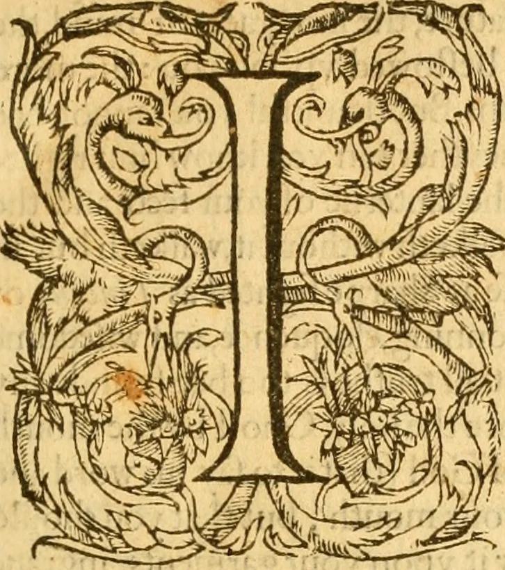 An illustration from The psalmes of David and others : with M. John Calvins commentaries, 1571, leaf 8