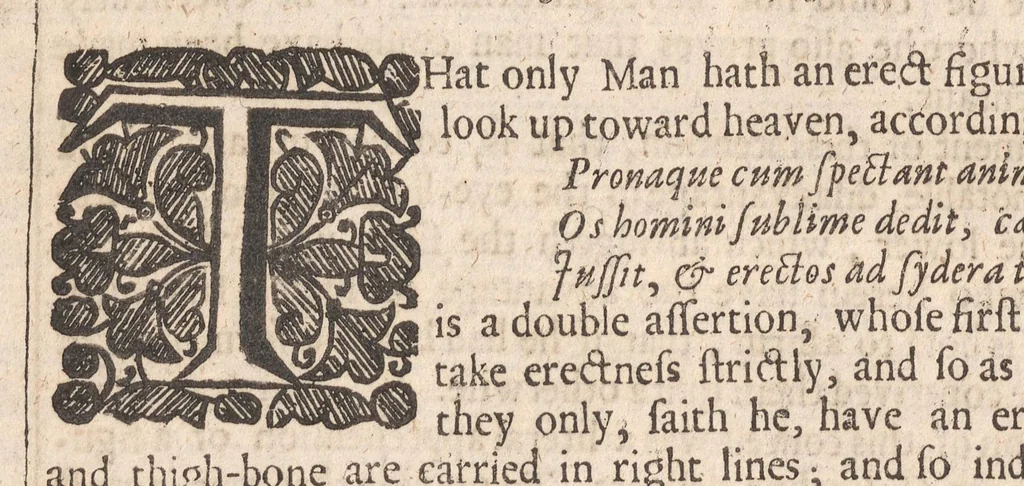 An illustration from Pseudoxia epidemica; or, Enquiries into very many received tenents, and commonly presumed truths. Whereunto is added Religio medici: and a discourse of the sepulchral-urnes lately found in Norfolk.Together with the Garden of Cyrus .., 1659, leaf 177