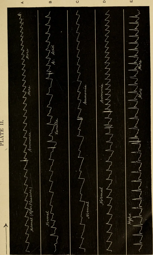 An illustration from The psychology of suggestion; a research into the subconscious nature of man and society, 1898, leaf 128