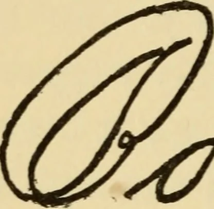 An illustration from The psychology of suggestion; a research into the subconscious nature of man and society, 1898, leaf 217