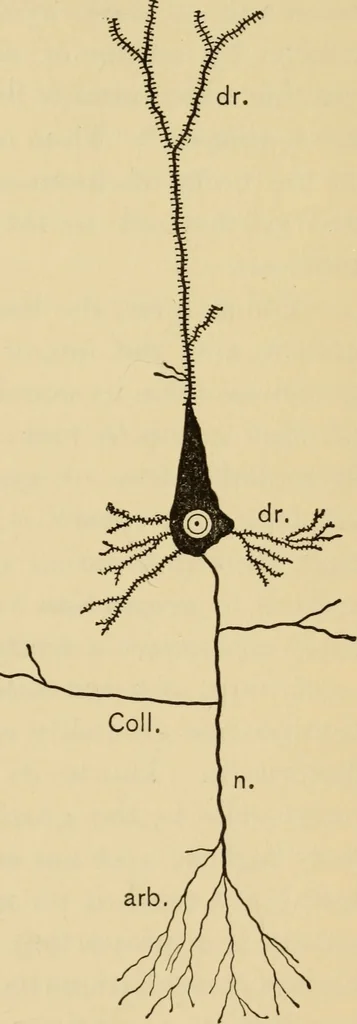 An illustration from The psychology of suggestion; a research into the subconscious nature of man and society, 1898, leaf 240