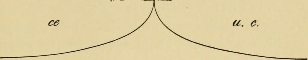 An illustration from The psychology of suggestion; a research into the subconscious nature of man and society, 1898, leaf 286