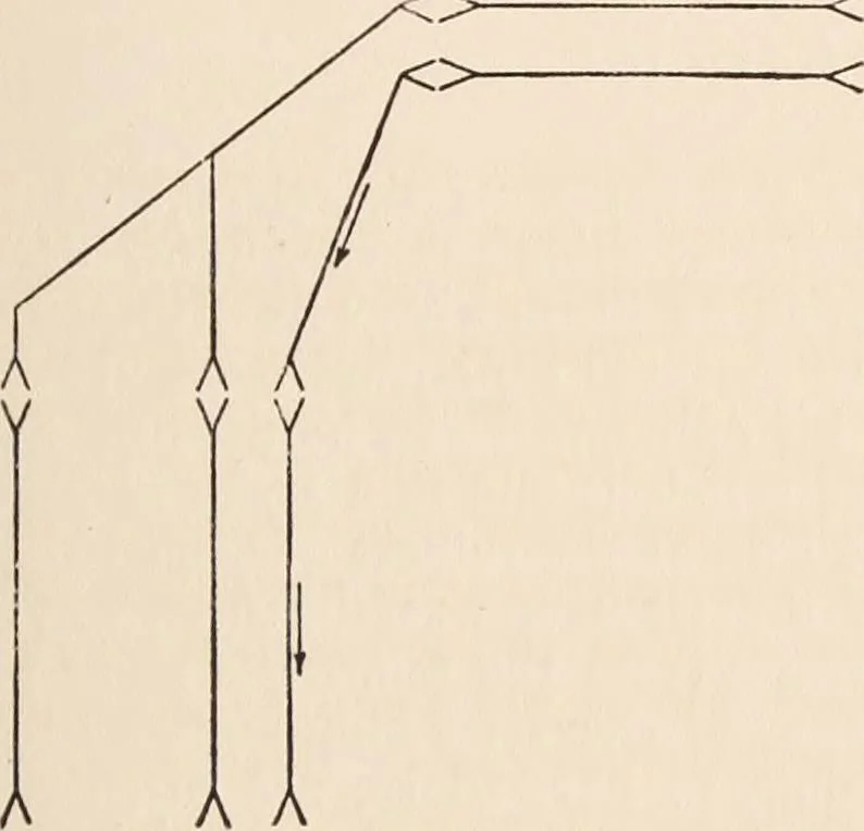 An illustration from Psychotherapy; a course of reading in sound psychology, sound medicine and sound religion., 1908, leaf 204