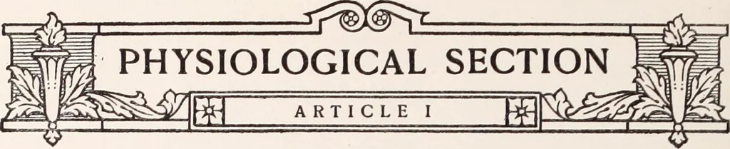 An illustration from Psychotherapy; a course of reading in sound psychology, sound medicine and sound religion., 1908, leaf 95