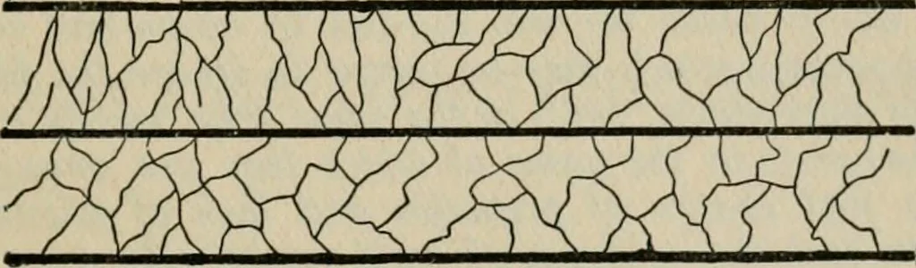 An illustration from Psycho-therapy in the practice of medicine and surgery, 1907, leaf 138