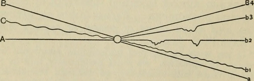 An illustration from Psycho-therapy in the practice of medicine and surgery, 1907, leaf 151