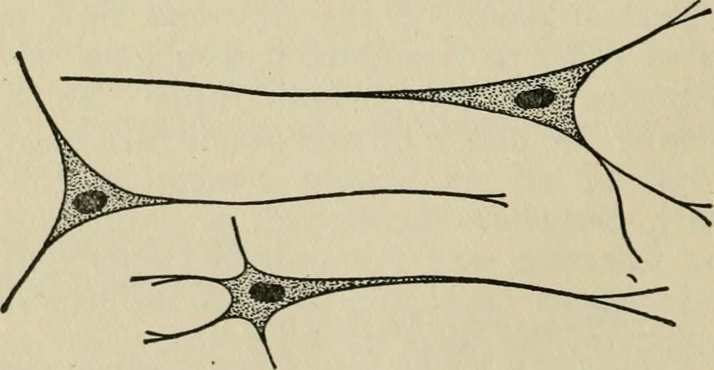 An illustration from Psycho-therapy in the practice of medicine and surgery, 1907, leaf 73