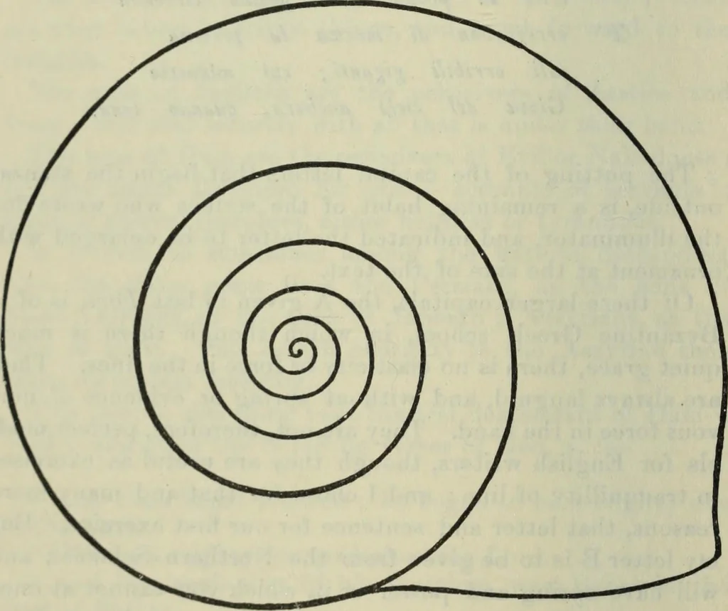 An illustration from Fors clavigera. Letters to the workmen and labourers of Great Britain, 1900, leaf 137