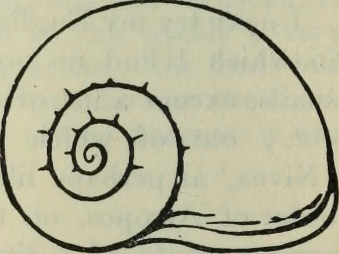An illustration from Fors clavigera. Letters to the workmen and labourers of Great Britain, 1900, leaf 165