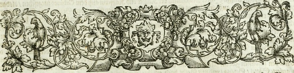 An illustration from [Publications relating to the wedding of Leopold I, Holy Roman Emperor, and Margarita Teresa, Infanta of Spain], 1666, leaf 122