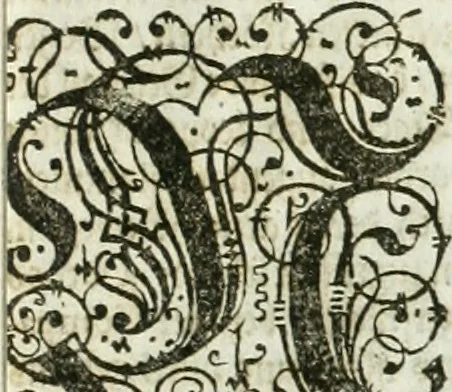 An illustration from [Publications relating to the wedding of Leopold I, Holy Roman Emperor, and Margarita Teresa, Infanta of Spain], 1666, leaf 122