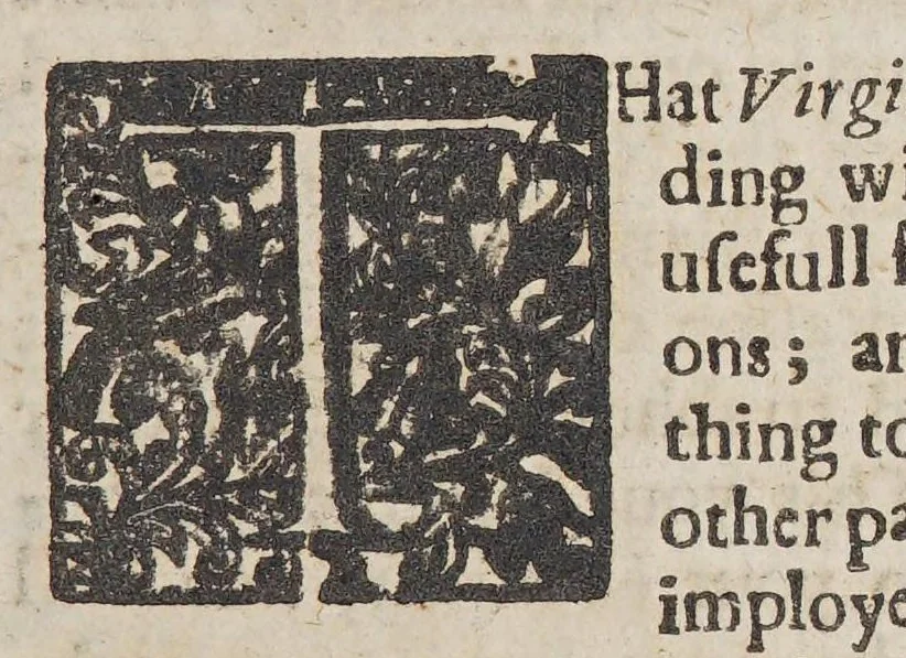 An illustration from Publick good without private interest: : or, A compendious remonstrance of the present sad state and condition of the English colonie in Virginea [sic]. With a modest declaration of the severall causes (so far as by the rules of right, reason, and religious observation may be collected) why it hath not prospered better hitherto. As also, a submissive suggestion of the most prudentiall probable wayes, and meanes, both divine and civill (that the inexpert remembrancer could for the present recall to minde) for its happyer improvement aud [sic] advancement for the future., 1657, leaf 29