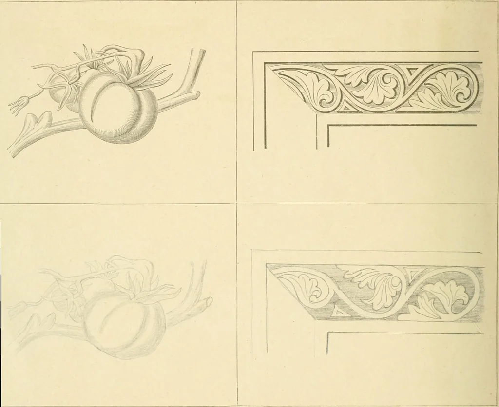 An illustration from Public school drawing course : (no. 5, junior fourth), 1892, leaf 13