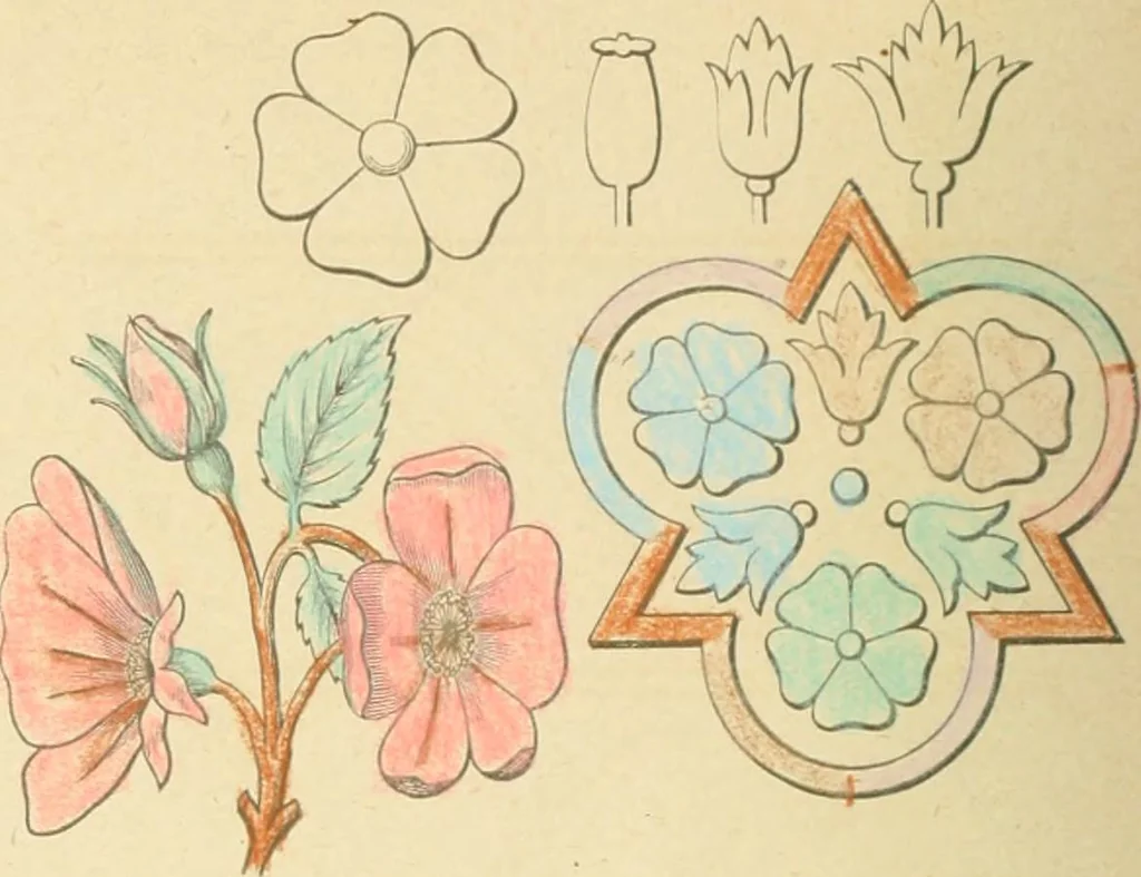 An illustration from Public school drawing course : (no. 5, junior fourth), 1892, leaf 7