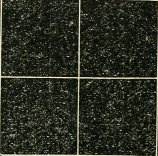 An illustration from Public school drawing manual : for teachers and students, 1892, leaf 17
