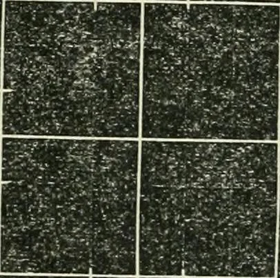 An illustration from Public school drawing manual : for teachers and students, 1892, leaf 19