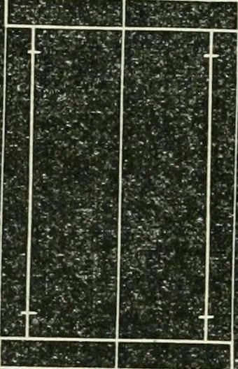 An illustration from Public school drawing manual : for teachers and students, 1892, leaf 19
