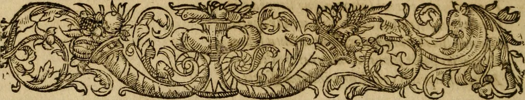 An illustration from Pub. Virgilii Maronis Bucolicorum, eclogae X. Georgicorvm, libri IIII. Aeneidos, libri XII, et in ea, Mavri Servii Honorati grammatici commentarii, ex antiquiss, exemplaribus longè meliores et auctiores. ex bibliotheca Petri Danielis I.C., 1610, leaf 161