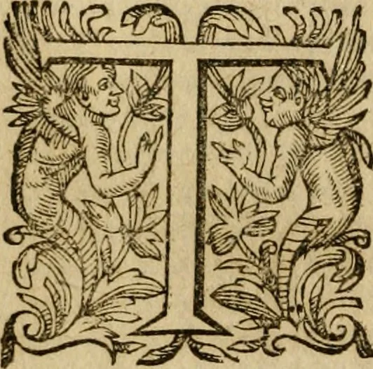 An illustration from Pub. Virgilii Maronis Bucolicorum, eclogae X. Georgicorvm, libri IIII. Aeneidos, libri XII, et in ea, Mavri Servii Honorati grammatici commentarii, ex antiquiss, exemplaribus longè meliores et auctiores. ex bibliotheca Petri Danielis I.C., 1610, leaf 161