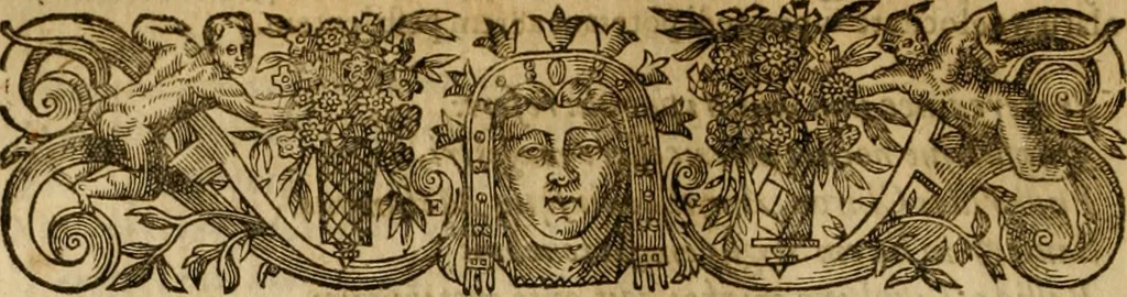 An illustration from Pub. Virgilii Maronis Bucolicorum, eclogae X. Georgicorvm, libri IIII. Aeneidos, libri XII, et in ea, Mavri Servii Honorati grammatici commentarii, ex antiquiss, exemplaribus longè meliores et auctiores. ex bibliotheca Petri Danielis I.C., 1610, leaf 185