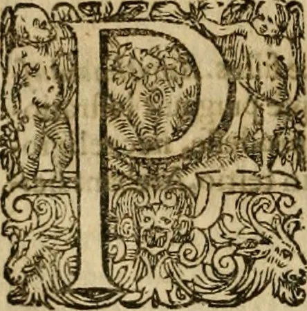 An illustration from Pub. Virgilii Maronis Bucolicorum, eclogae X. Georgicorvm, libri IIII. Aeneidos, libri XII, et in ea, Mavri Servii Honorati grammatici commentarii, ex antiquiss, exemplaribus longè meliores et auctiores. ex bibliotheca Petri Danielis I.C., 1610, leaf 185