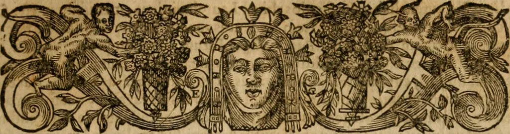 An illustration from Pub. Virgilii Maronis Bucolicorum, eclogae X. Georgicorvm, libri IIII. Aeneidos, libri XII, et in ea, Mavri Servii Honorati grammatici commentarii, ex antiquiss, exemplaribus longè meliores et auctiores. ex bibliotheca Petri Danielis I.C., 1610, leaf 206