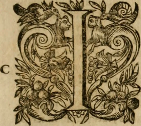 An illustration from Pub. Virgilii Maronis Bucolicorum, eclogae X. Georgicorvm, libri IIII. Aeneidos, libri XII, et in ea, Mavri Servii Honorati grammatici commentarii, ex antiquiss, exemplaribus longè meliores et auctiores. ex bibliotheca Petri Danielis I.C., 1610, leaf 206