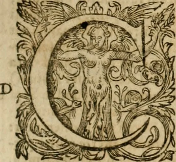 An illustration from Pub. Virgilii Maronis Bucolicorum, eclogae X. Georgicorvm, libri IIII. Aeneidos, libri XII, et in ea, Mavri Servii Honorati grammatici commentarii, ex antiquiss, exemplaribus longè meliores et auctiores. ex bibliotheca Petri Danielis I.C., 1610, leaf 266