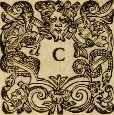An illustration from Pub. Virgilii Maronis Bucolicorum, eclogae X. Georgicorvm, libri IIII. Aeneidos, libri XII, et in ea, Mavri Servii Honorati grammatici commentarii, ex antiquiss, exemplaribus longè meliores et auctiores. ex bibliotheca Petri Danielis I.C., 1610, leaf 27