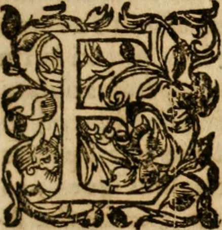 An illustration from Pub. Virgilii Maronis Bucolicorum, eclogae X. Georgicorvm, libri IIII. Aeneidos, libri XII, et in ea, Mavri Servii Honorati grammatici commentarii, ex antiquiss, exemplaribus longè meliores et auctiores. ex bibliotheca Petri Danielis I.C., 1610, leaf 28