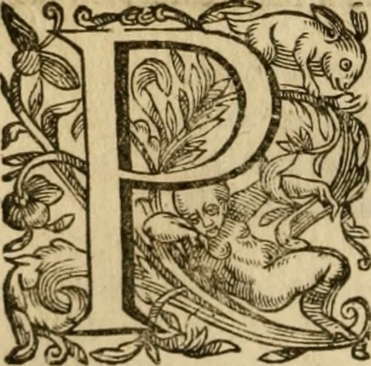 An illustration from Pub. Virgilii Maronis Bucolicorum, eclogae X. Georgicorvm, libri IIII. Aeneidos, libri XII, et in ea, Mavri Servii Honorati grammatici commentarii, ex antiquiss, exemplaribus longè meliores et auctiores. ex bibliotheca Petri Danielis I.C., 1610, leaf 305