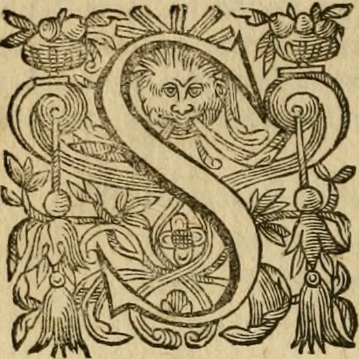 An illustration from Pub. Virgilii Maronis Bucolicorum, eclogae X. Georgicorvm, libri IIII. Aeneidos, libri XII, et in ea, Mavri Servii Honorati grammatici commentarii, ex antiquiss, exemplaribus longè meliores et auctiores. ex bibliotheca Petri Danielis I.C., 1610, leaf 449