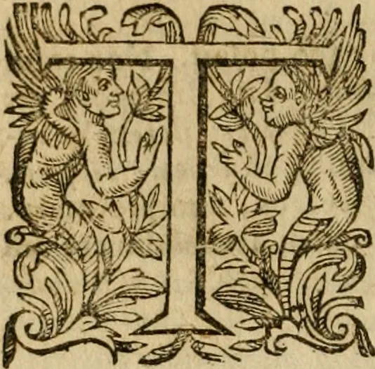 An illustration from Pub. Virgilii Maronis Bucolicorum, eclogae X. Georgicorvm, libri IIII. Aeneidos, libri XII, et in ea, Mavri Servii Honorati grammatici commentarii, ex antiquiss, exemplaribus longè meliores et auctiores. ex bibliotheca Petri Danielis I.C., 1610, leaf 503