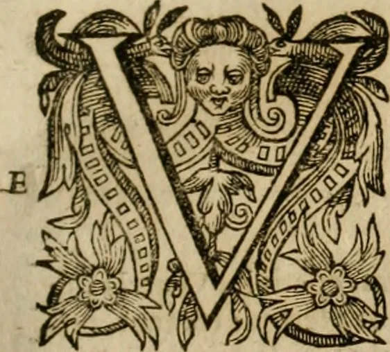 An illustration from Pub. Virgilii Maronis Bucolicorum, eclogae X. Georgicorvm, libri IIII. Aeneidos, libri XII, et in ea, Mavri Servii Honorati grammatici commentarii, ex antiquiss, exemplaribus longè meliores et auctiores. ex bibliotheca Petri Danielis I.C., 1610, leaf 540