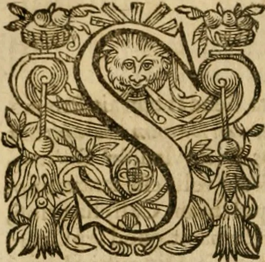An illustration from Pub. Virgilii Maronis Bucolicorum, eclogae X. Georgicorvm, libri IIII. Aeneidos, libri XII, et in ea, Mavri Servii Honorati grammatici commentarii, ex antiquiss, exemplaribus longè meliores et auctiores. ex bibliotheca Petri Danielis I.C., 1610, leaf 57