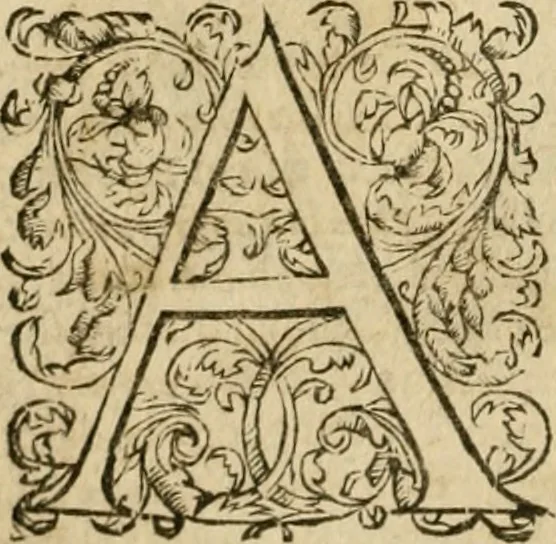 An illustration from Pub. Virgilii Maronis Bucolicorum, eclogae X. Georgicorvm, libri IIII. Aeneidos, libri XII, et in ea, Mavri Servii Honorati grammatici commentarii, ex antiquiss, exemplaribus longè meliores et auctiores. ex bibliotheca Petri Danielis I.C., 1610, leaf 589