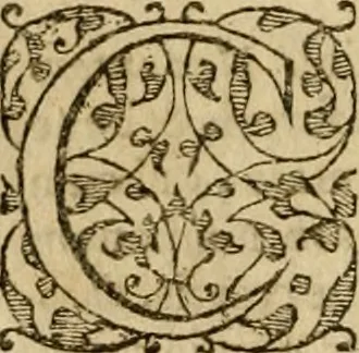 An illustration from Pub. Virgilii Maronis Bucolicorum, eclogae X. Georgicorvm, libri IIII. Aeneidos, libri XII, et in ea, Mavri Servii Honorati grammatici commentarii, ex antiquiss, exemplaribus longè meliores et auctiores. ex bibliotheca Petri Danielis I.C., 1610, leaf 61