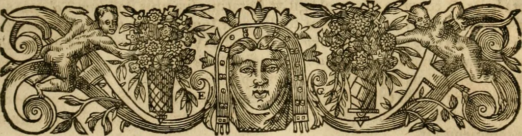 An illustration from Pub. Virgilii Maronis Bucolicorum, eclogae X. Georgicorvm, libri IIII. Aeneidos, libri XII, et in ea, Mavri Servii Honorati grammatici commentarii, ex antiquiss, exemplaribus longè meliores et auctiores. ex bibliotheca Petri Danielis I.C., 1610, leaf 676
