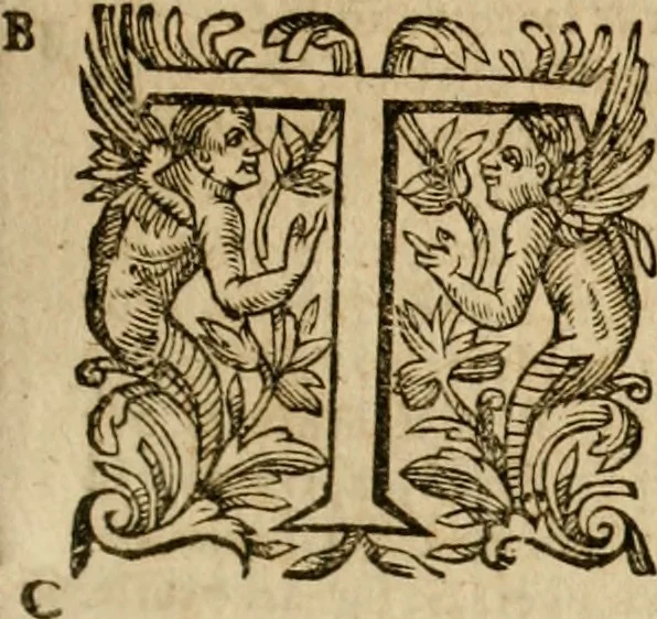 An illustration from Pub. Virgilii Maronis Bucolicorum, eclogae X. Georgicorvm, libri IIII. Aeneidos, libri XII, et in ea, Mavri Servii Honorati grammatici commentarii, ex antiquiss, exemplaribus longè meliores et auctiores. ex bibliotheca Petri Danielis I.C., 1610, leaf 726