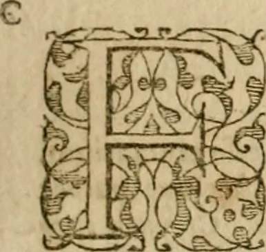 An illustration from Pub. Virgilii Maronis Bucolicorum, eclogae X. Georgicorvm, libri IIII. Aeneidos, libri XII, et in ea, Mavri Servii Honorati grammatici commentarii, ex antiquiss, exemplaribus longè meliores et auctiores. ex bibliotheca Petri Danielis I.C., 1610, leaf 74